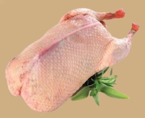 Čerstvá chlazená KACHNA ZE DVORA - uvedená cena je za 1 kg 1