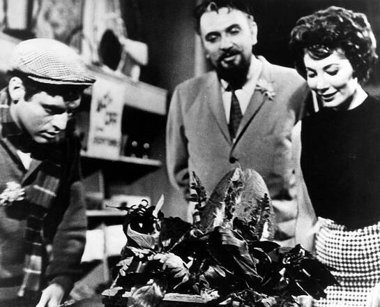 Jonathan Haze, Mel Welles, Jackie Joseph - Malý obchod hrůz - Z filmu