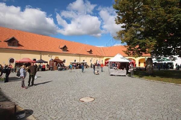 Zámek Centrum Eden, Bystřice nad Pernštejnem