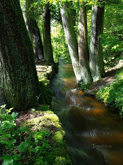 Opatský kanál, Foto: © město Vyšší Brod