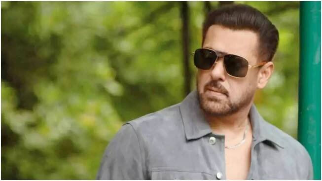 Is Salman Khan teaming up with Telugu director Harish Shankar for a new project?
