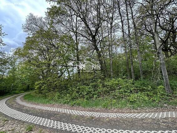Prodej Pozemek, Kadaň - Nová Víska, okres Chomutov