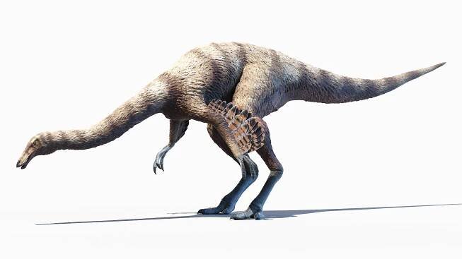 3D model Dinopack XXL Animated https://p.turbosquid.com/ts-thumb/Bw/19J0jq/B2/ornithomimus_animated_poses0064/jpg/1623673309/1920x1080/fit_q87/d9705549445add7234fdbc16440d04c4b3161c96/ornithomimus_animated_poses0064.jpg