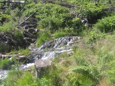 Prudký potok (přítok Krupé)