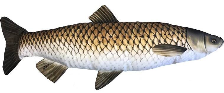 Gaby Amur Giant 103 cm