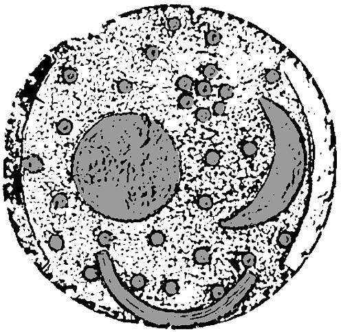 Nebra Disk
