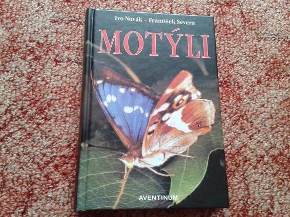 IVO NOVÁK: MOTÝLI