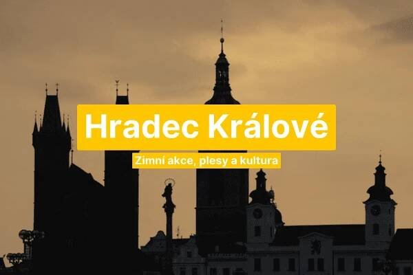 Kam na výlet s dětmi v zimním Hradci Králové | vánoční trhy a akce | InterBohemia 