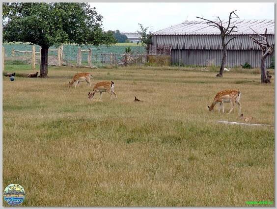 Zoopark Stěžery