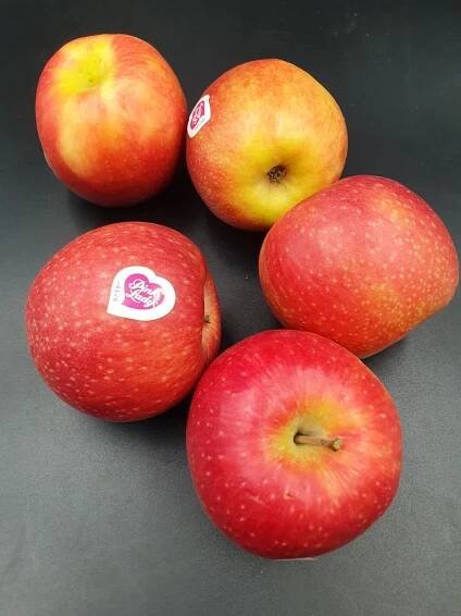 Anglia Produce Ltd