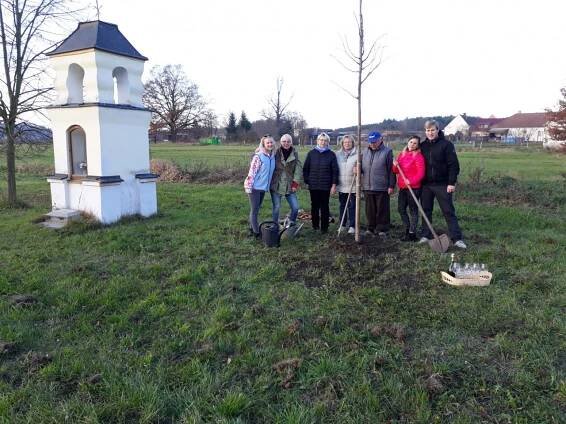 Vysazení Lípy svobody dne 11.11.2018 1