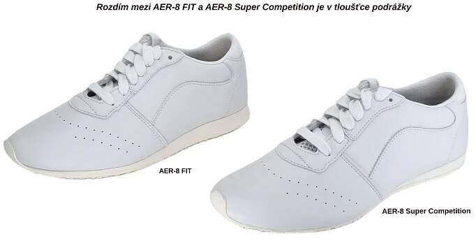 AER (1)