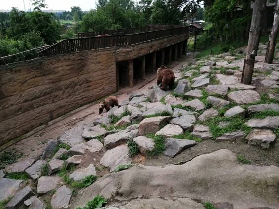 Liščata na výletě v zoo | Mateřská škola Štěnovice