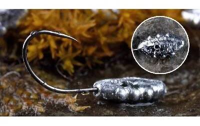 marmyska bug bl feed 1000x700 1