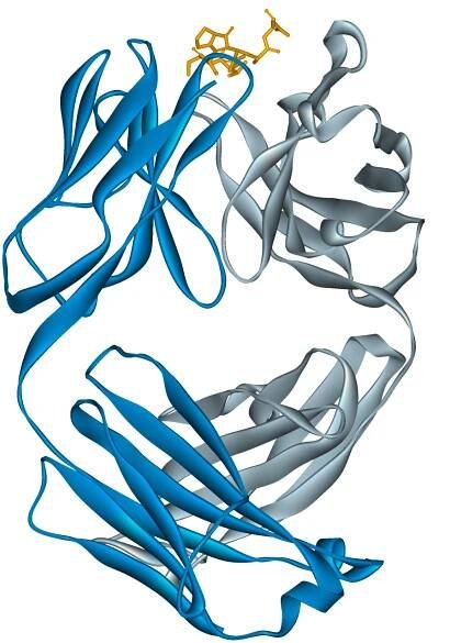 Alemtuzumab