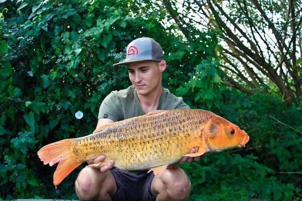 The iBoat Wall of Fame -iBlog by Imperial Fishing