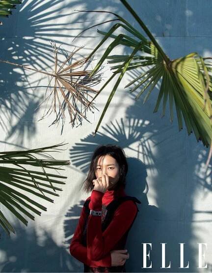 Liu Wen model