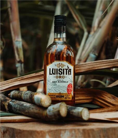 Oro - Luisita Rum