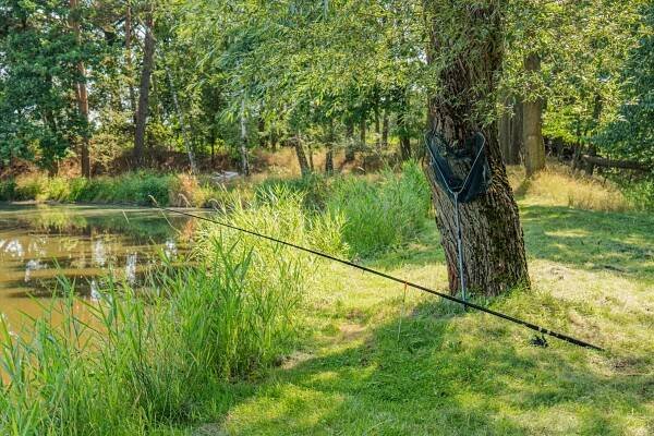 Prodej pozemků s rybníkem a lesem | Reality.iDNES.cz 