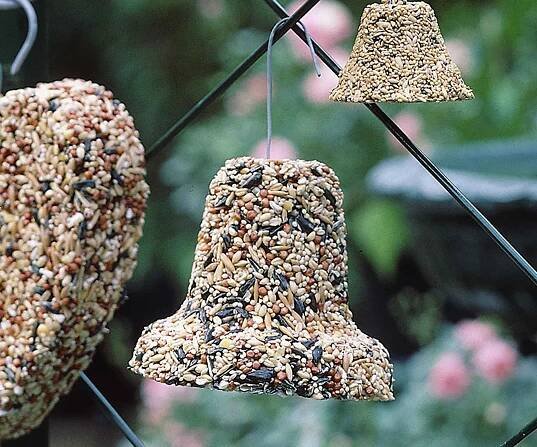 Bird seed bell hanging from a fence