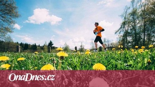Osm důvodů, proč běžet Vltava Run (i příští rok) - iDNES.cz
