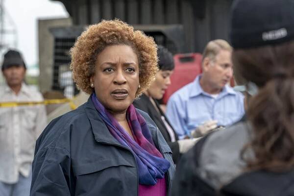 Námořní vyšetřovací služba: New Orleans - Odkaz - Z filmu - CCH Pounder