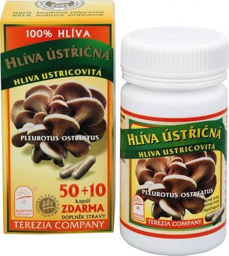 Terezia Company Hlva stin