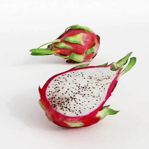 pitahaya 22 AM130 Archmodels