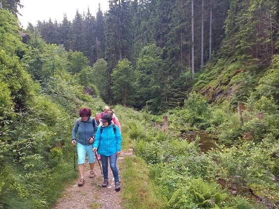 SONS ČR - Turistika: Jelení louky 