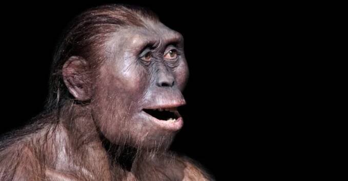 Evoluce člověka a běh (1) - Proč se objevil člověk