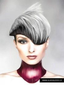 Šedivé vlasy v účesu od Robert Masciave (BHA 2016): Šedá je barva roku 2016 pro vlasy. Podívejte se, jak šedé vlasy ve dvou odstínech dokážou posloužit jako velice zajímavé barvení do střihu.
