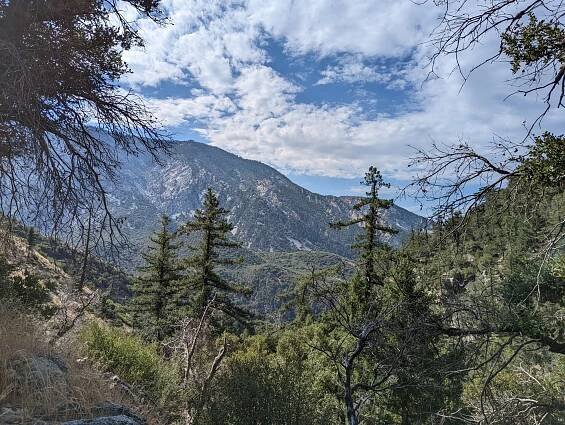 Mount Baldy's Bear Canyon Made Me Emotional - Simply Alex