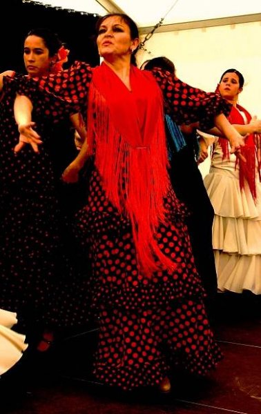 Learn Flamenco by Carmen de Torres – classes in estudio flamenco Calle Mariana Pineda 2, Tomares