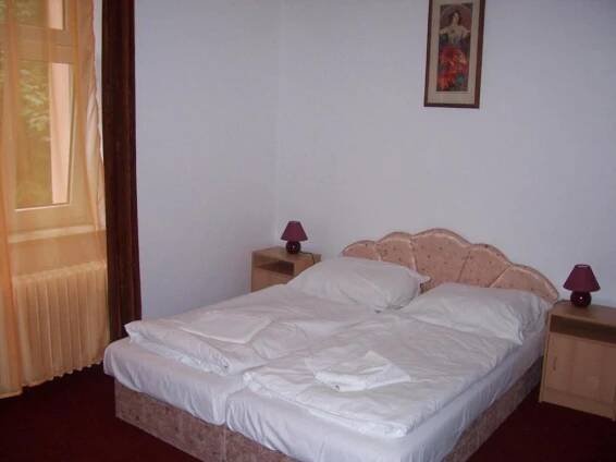 Postel nebo postele na pokoji v ubytování Penzion Haus Regrus
