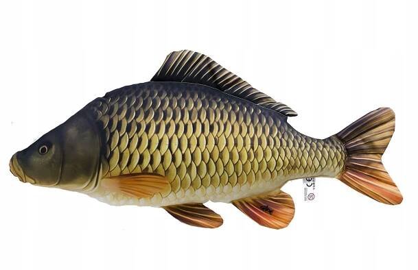 Gaby Polštář Kapr šupináč 64 cm