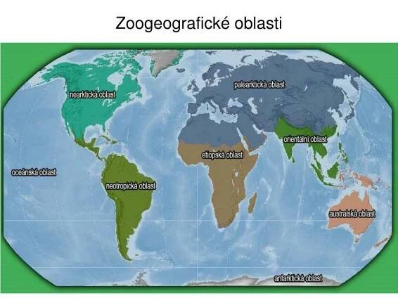 PPT - BIOSFÉRA PowerPoint Presentation, free download - ID:1421858
