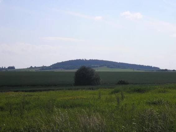 Mikulovická hora