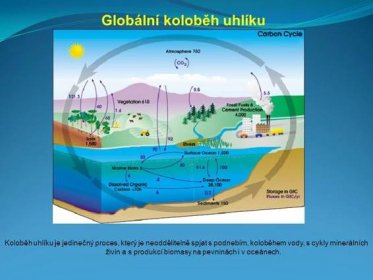 Globální koloběh uhlíku Koloběh uhlíku je jedinečný proces, který je neoddělitelně spjat s podnebím, koloběhem vody, s cykly minerálních živin a s produkcí biomasy na pevninách i v oceánech.