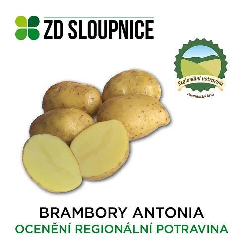 Prodej brambor | Bramborárna Zemědělského družstva se sídlem ve Sloupnici 