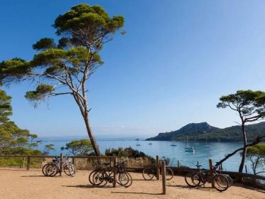 Île de Porquerolles: The French Riviera’s Last Frontier