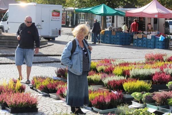 Hlávka květáku jenom za pětikorunu. Čáslavský trh lákal nakupující i ve svátek