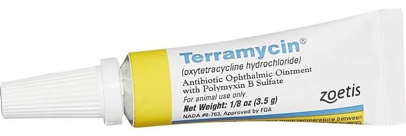Terramycin Ophthalmic Eye Ointment At Tractor Supply Co