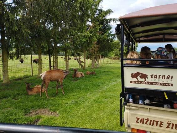 Výlet do ZOO Dvorec a Safari resort Hluboká u Borovan - Oficiální stránky Základní školy a Mateřské školy Rožmitál na Šumavě