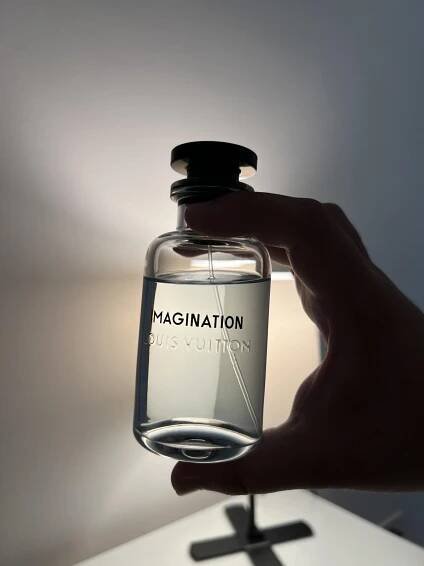Imagination Louis Vuitton pro muže