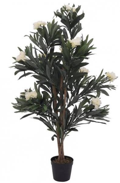 EuroPalms Oleandr bílý 120 cm