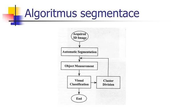 PPT - Segmentace buněčných jader PowerPoint Presentation, free download - ID:5507333
