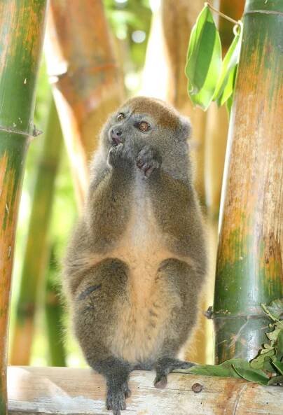 Photo tour | Transcontinents Madagascar