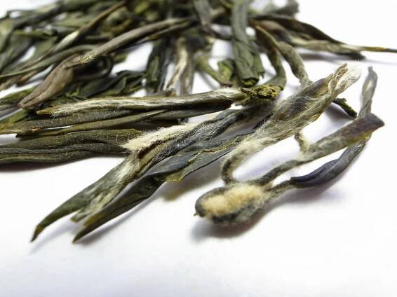 Classic Green Tea