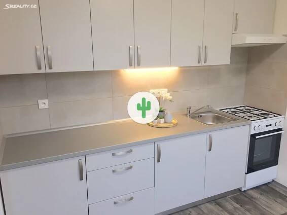 Pronájem bytu 3+1 65 m², Jana Maluchy, Ostrava - Dubina