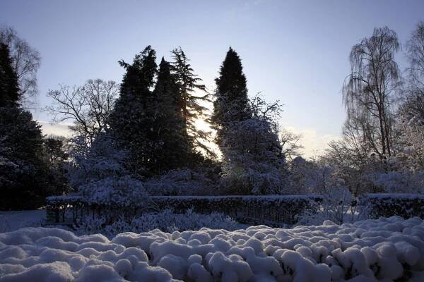Winter in the garden - Newby Hall